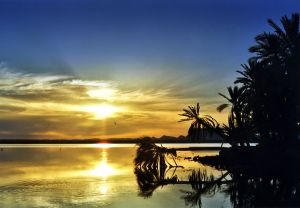 Siwa Oasis Sunset