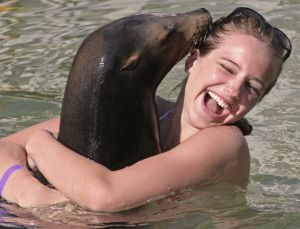 Seal Happiness